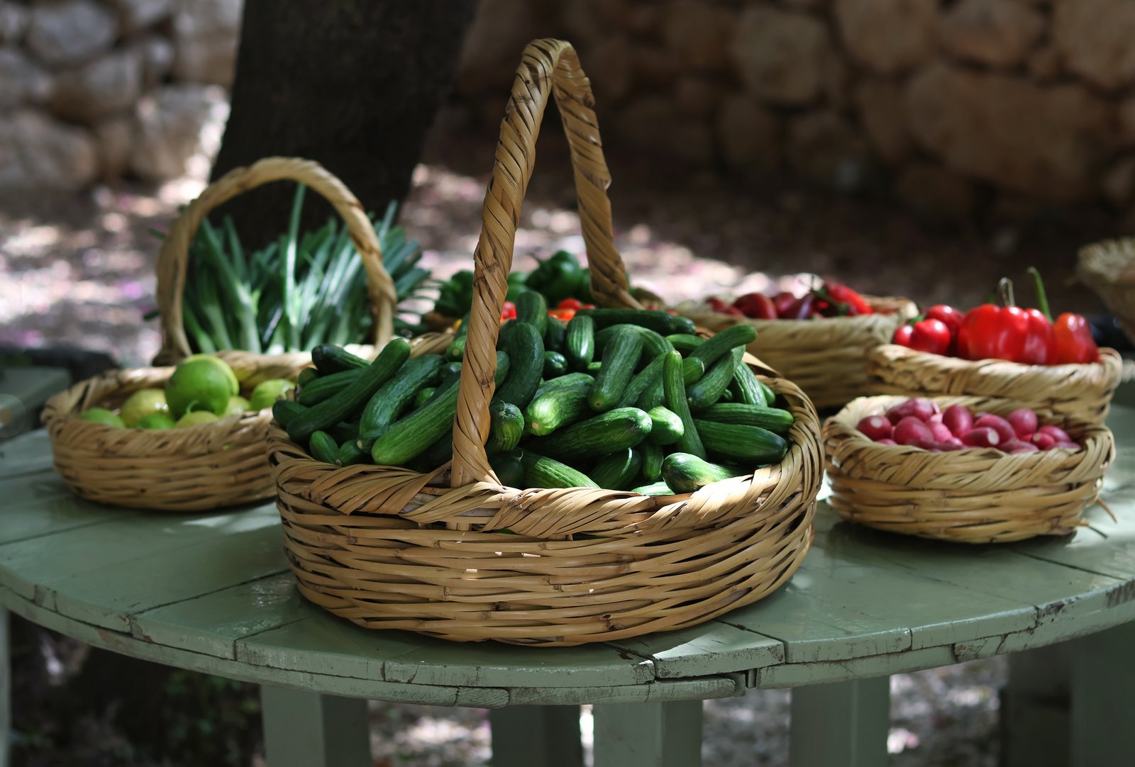 Why Fresh Fruits and Vegetables Are Essential for a Healthy Life