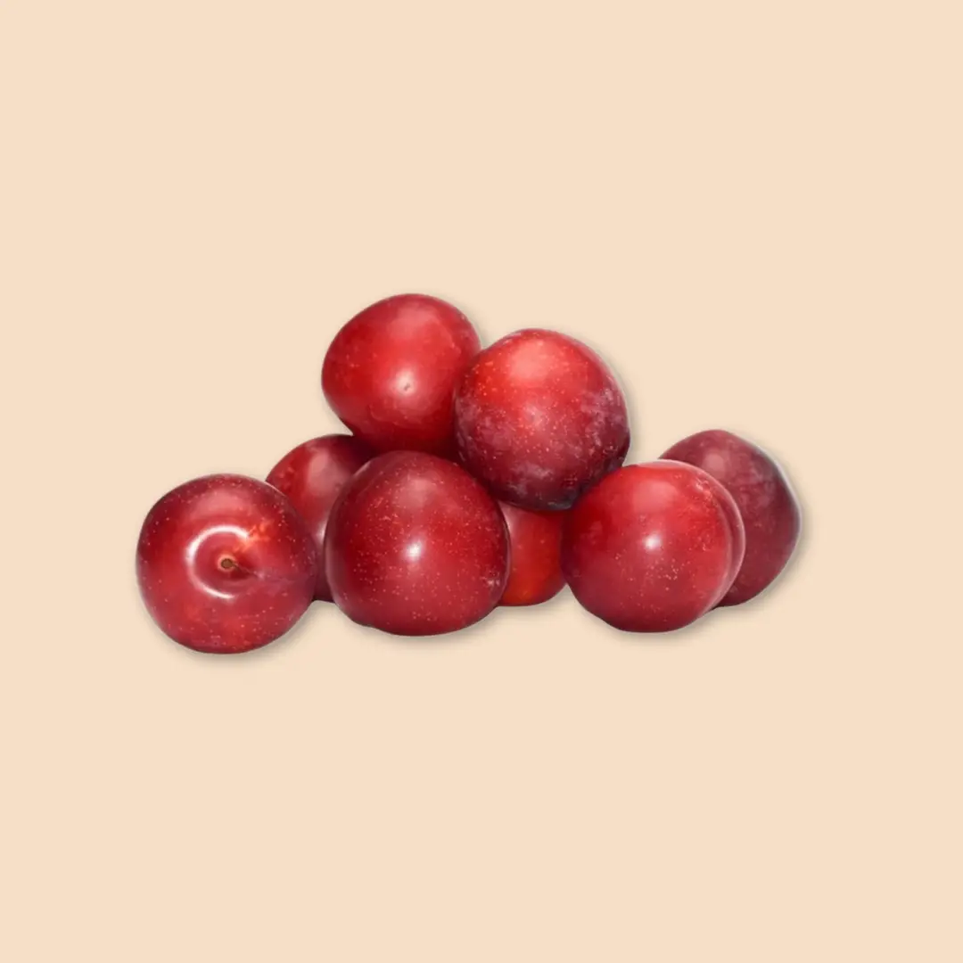 PLUM IMP.