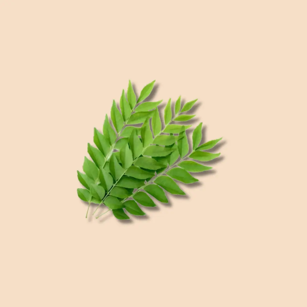 Curry Leaves