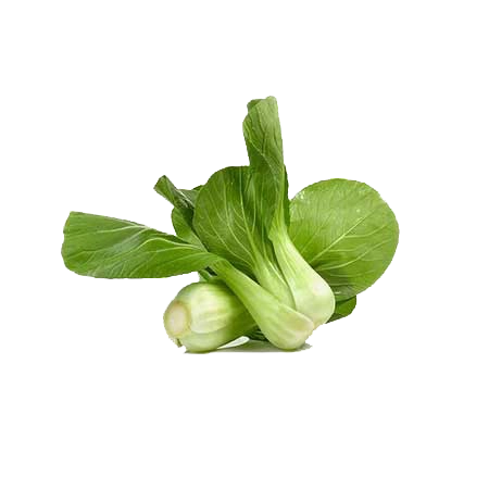 Mint Leaves (Pudina), 250 gm